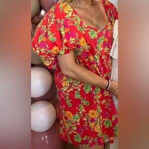 Beautiful Caroline Constas Palmer Mini Dress size Small